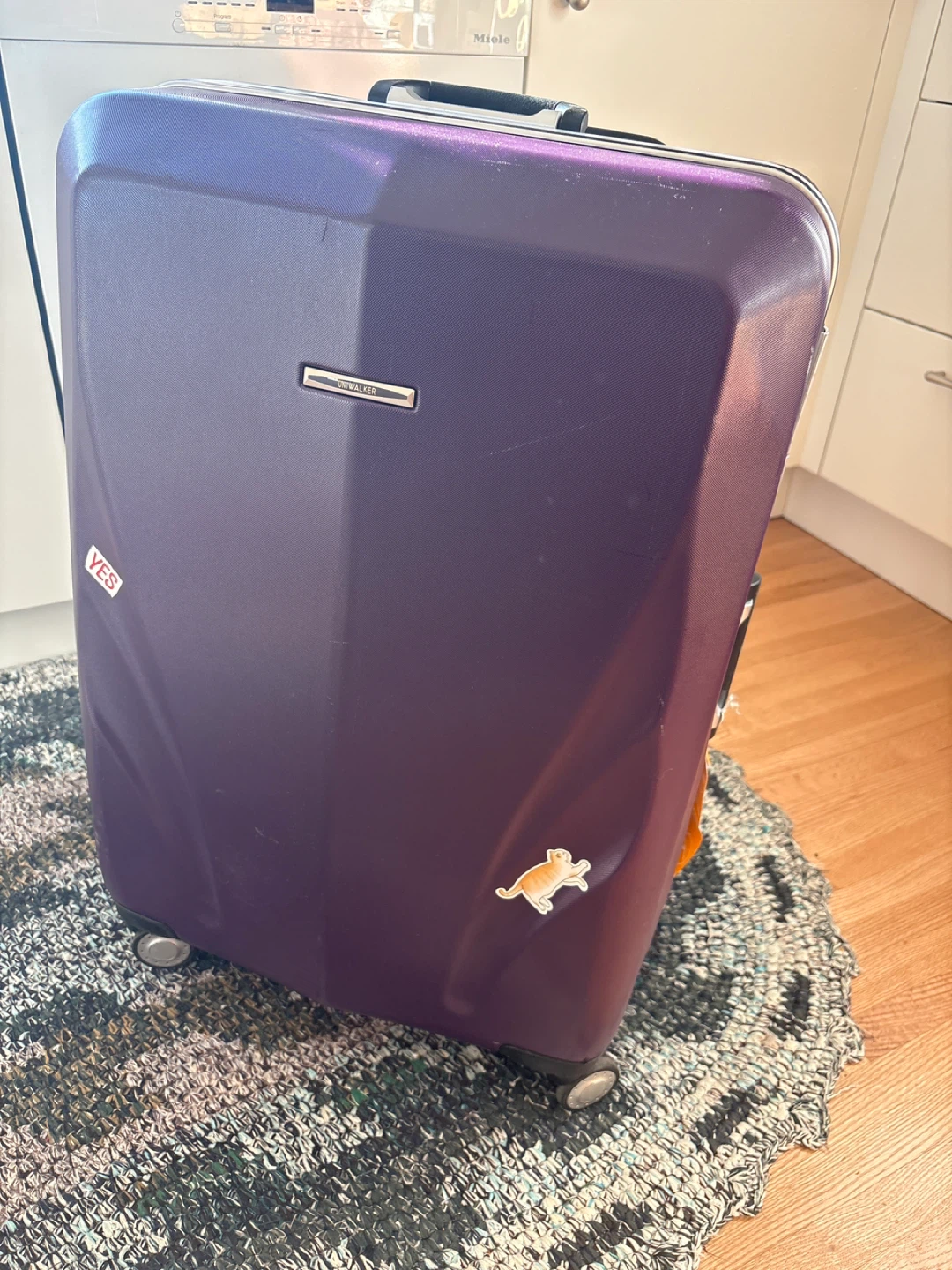 Samsonite Luggage