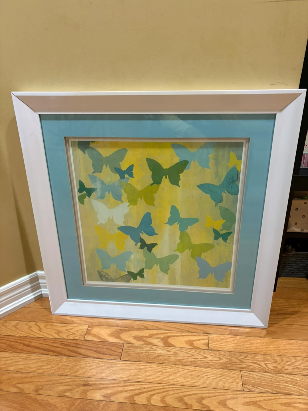 Framed Butterfly Artwork