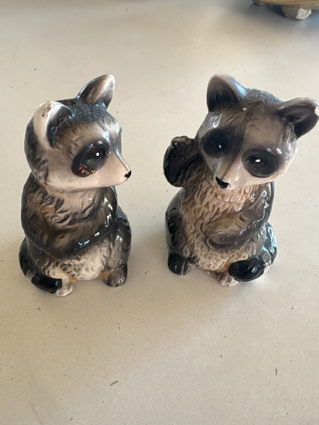 Raccoon Salt and Pepper Shakers