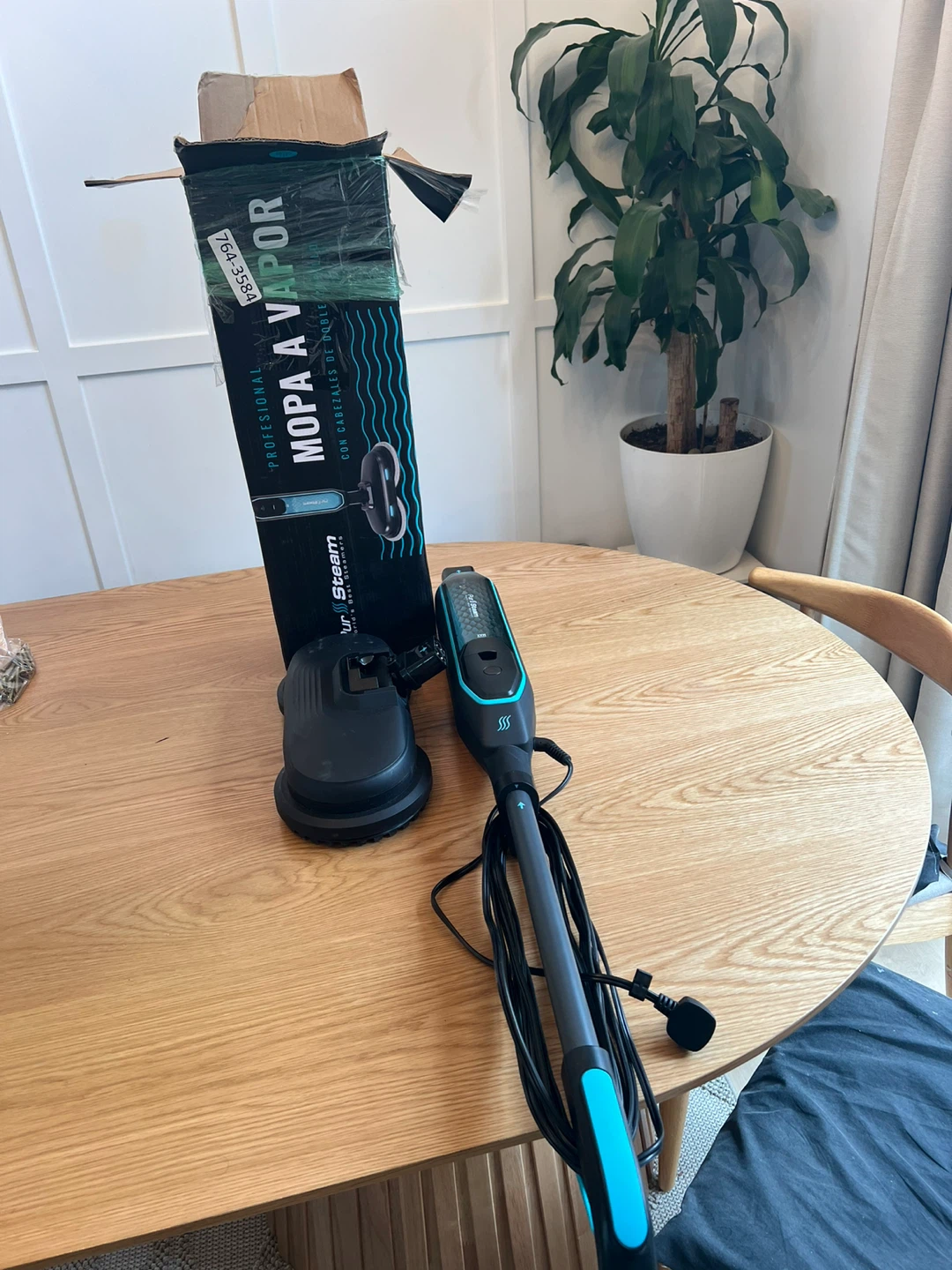 Pur Steam Steam Mop with Dual Brush Heads - photo 5