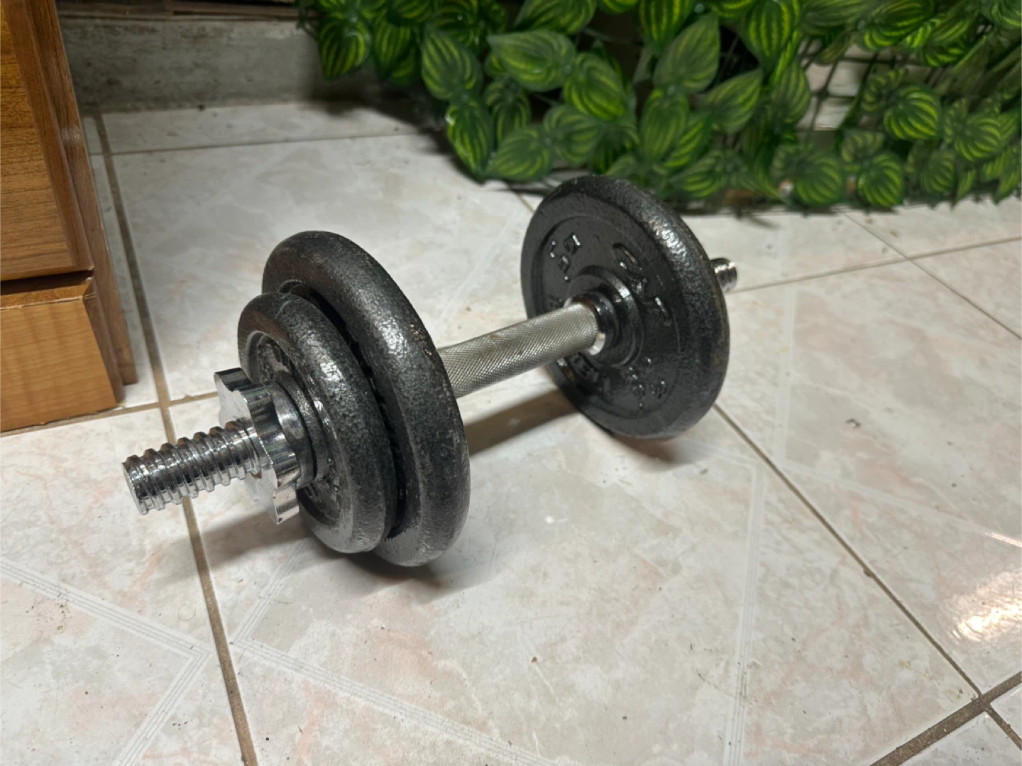 Adjustable Dumbbell – Cast Iron Plates