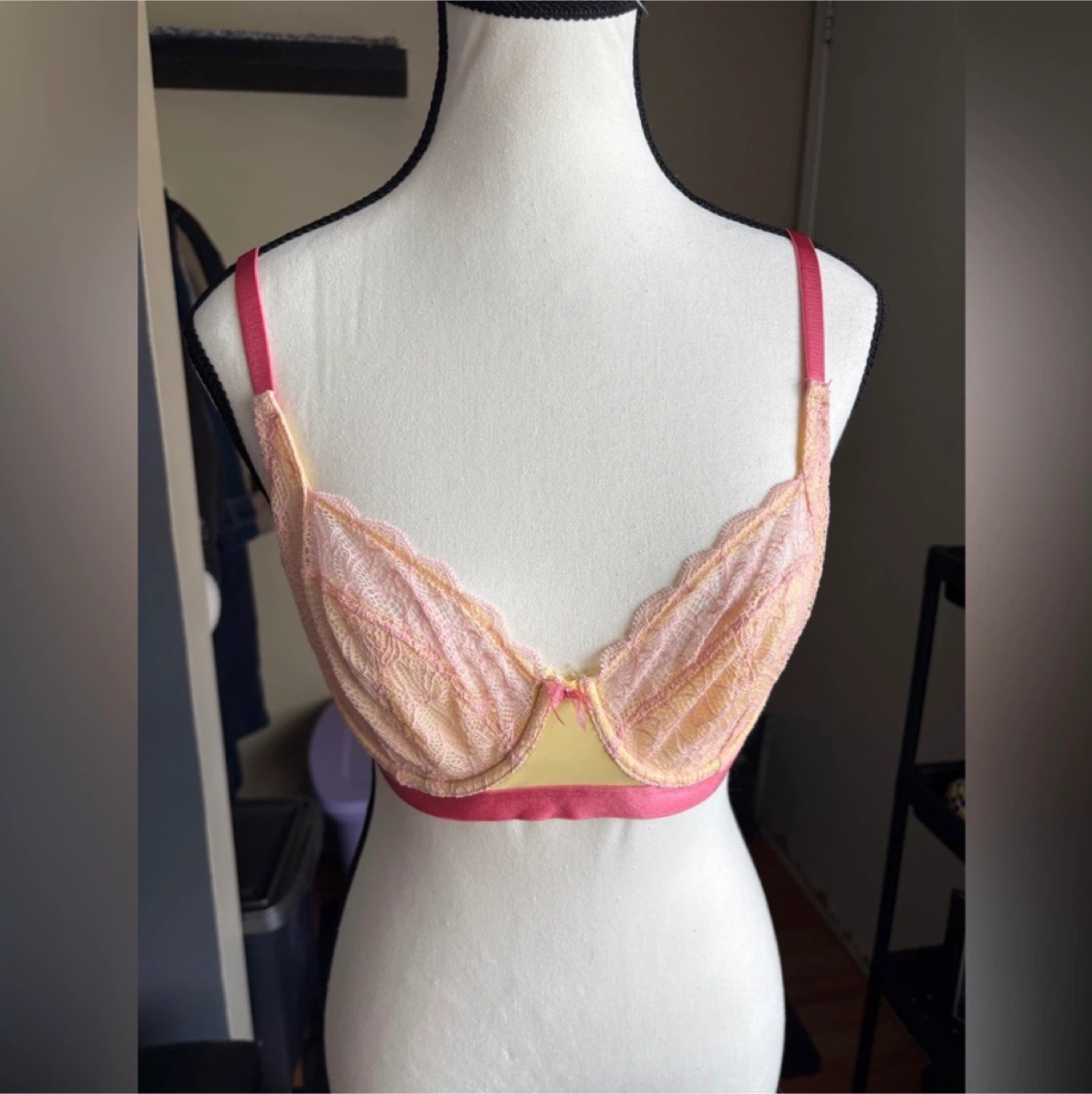 La Vie en Rose Lace Bralette