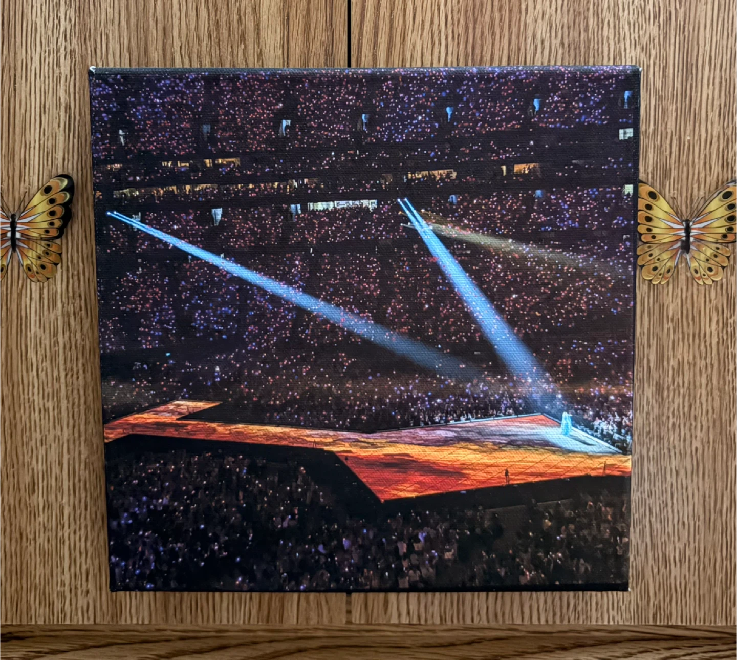 🥕Canvas Print