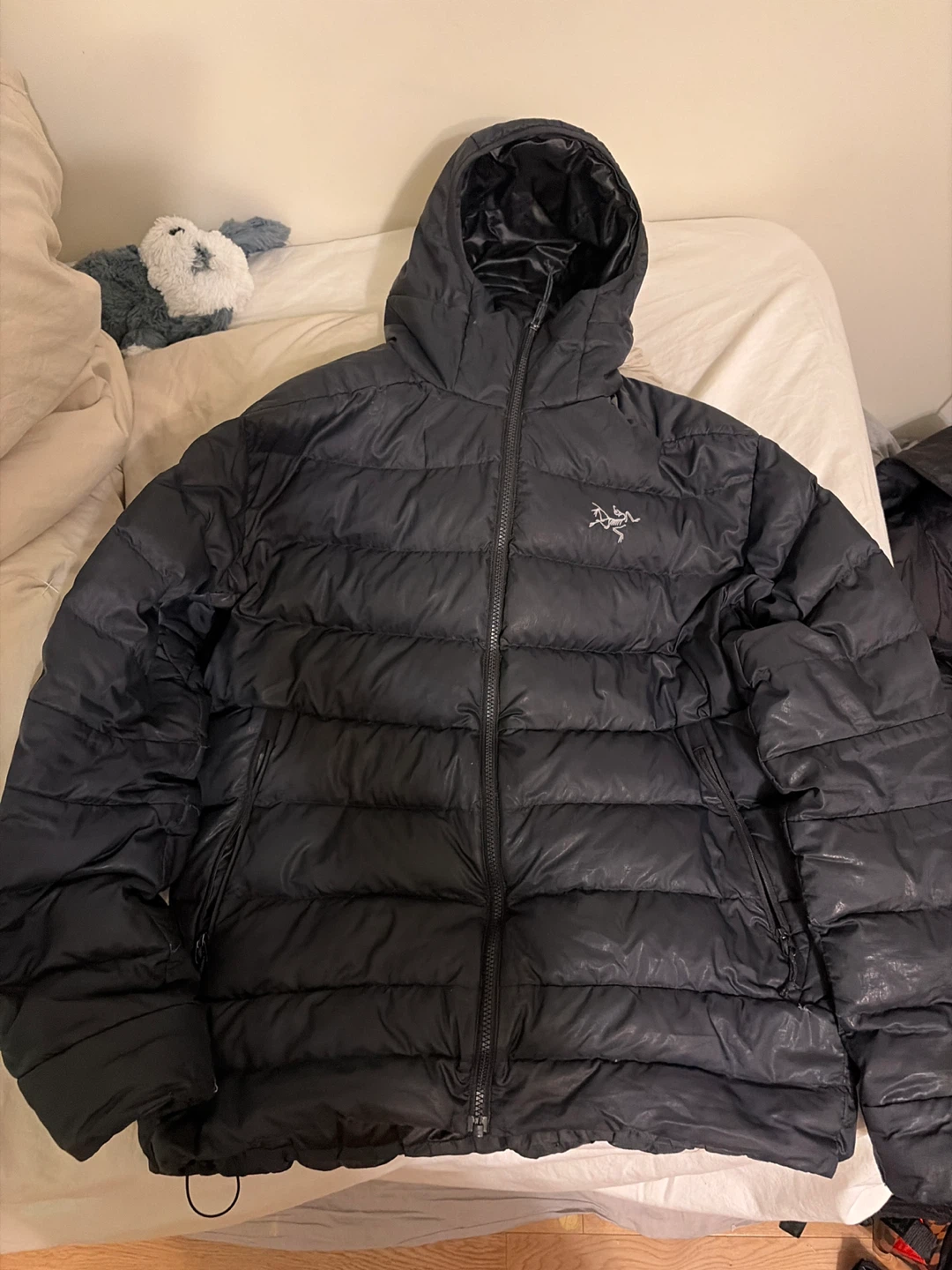 Arc'teryx Puffer Jacket