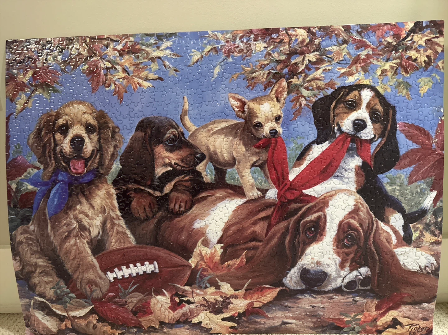 Dog Puzzle