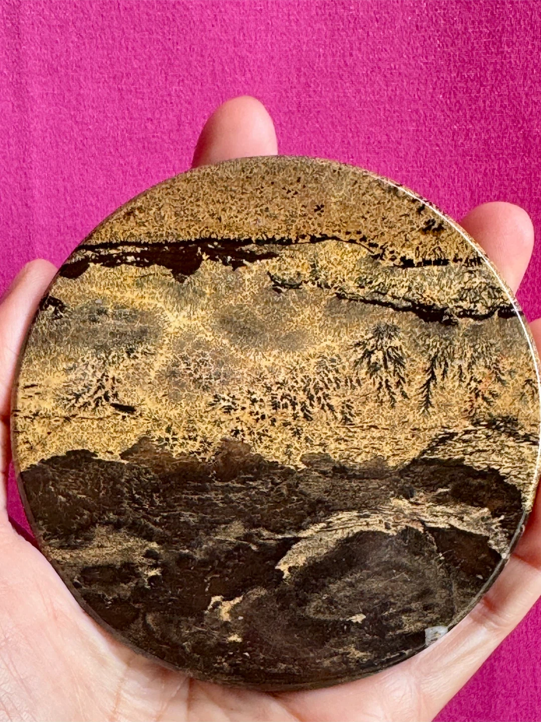 Dentritic Jasper Coaster or Display Piece - photo 2