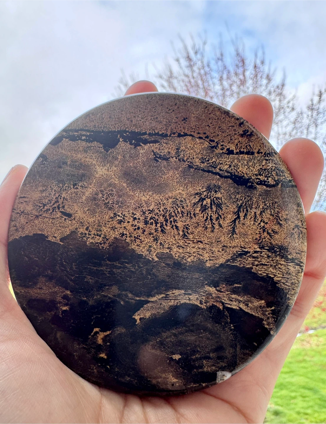 Dentritic Jasper Coaster or Display Piece - photo 5