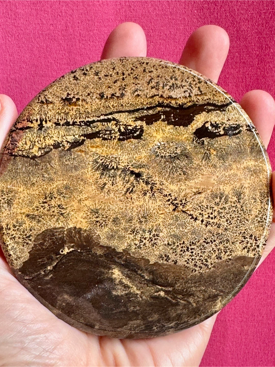 Dentritic Jasper Coaster or Display Piece - photo 3