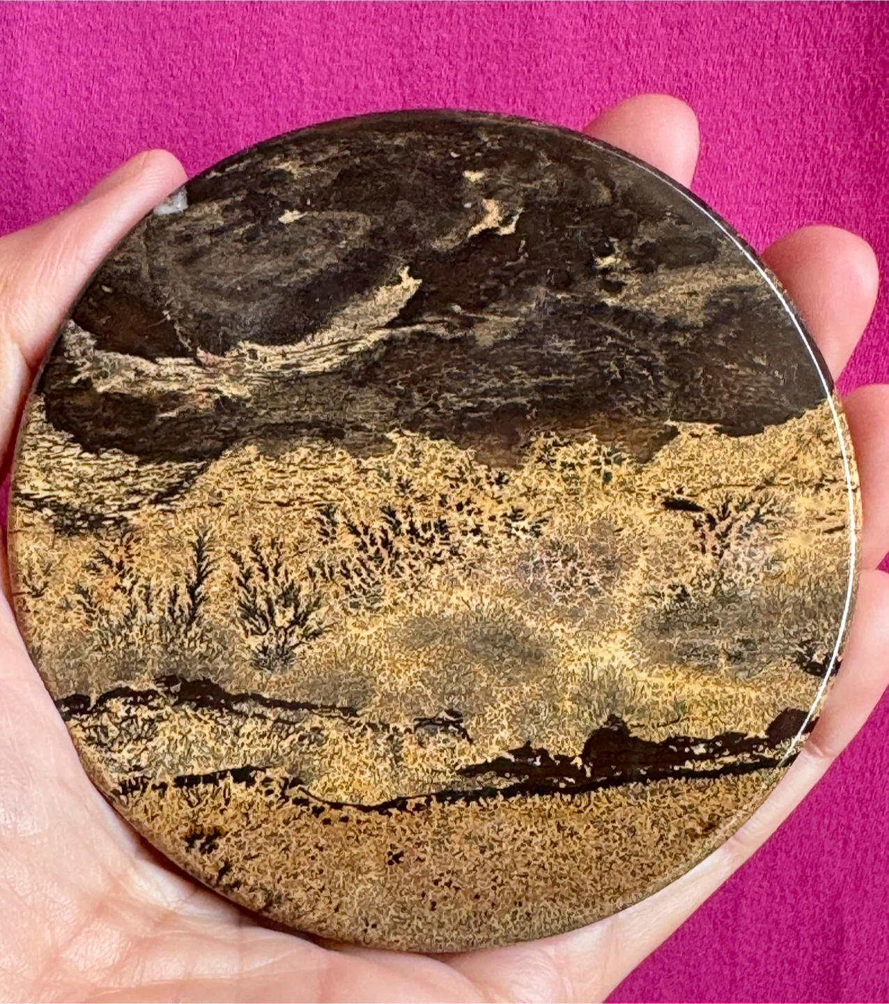 Dentritic Jasper Coaster or Display Piece