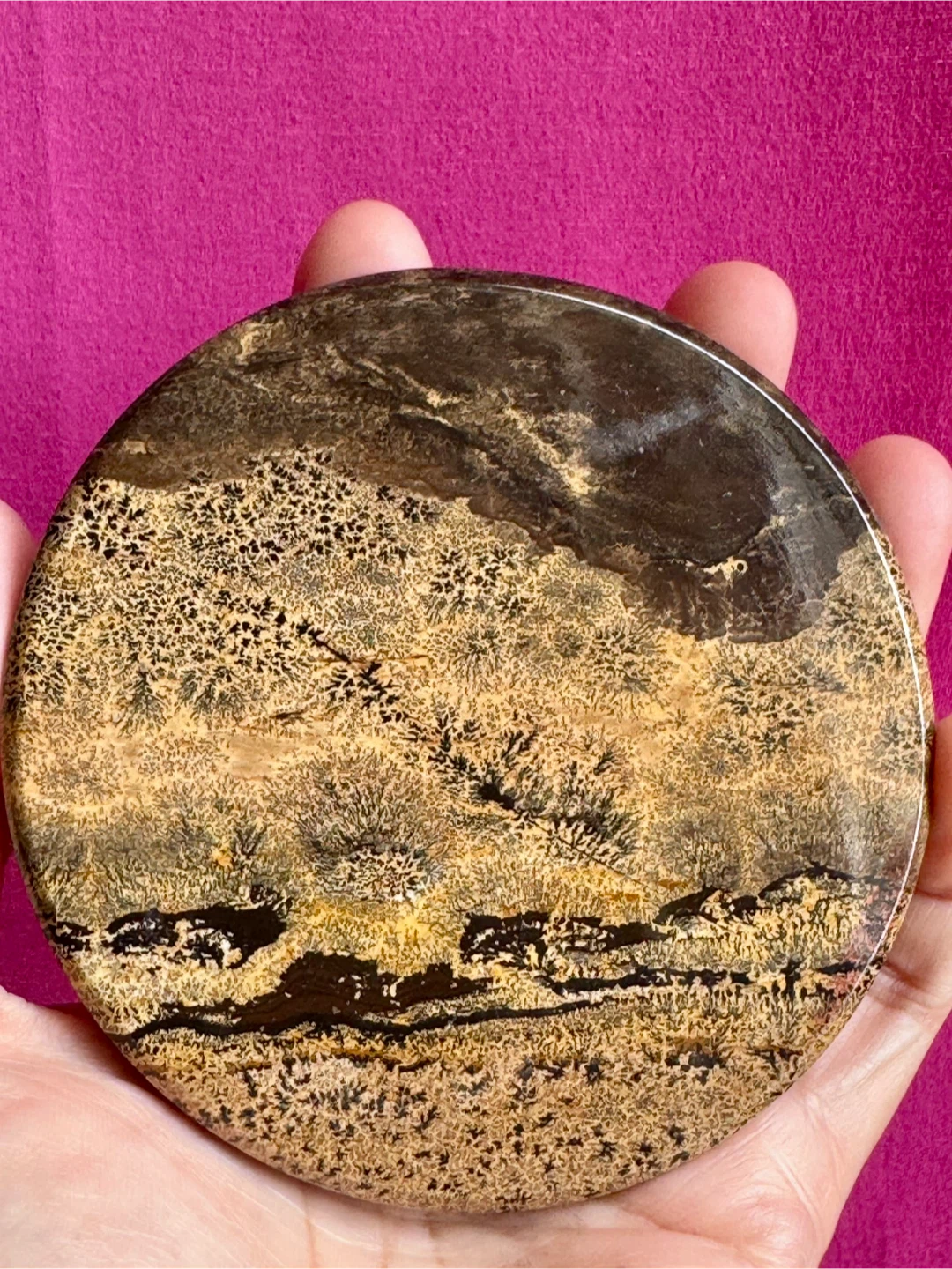 Dentritic Jasper Coaster or Display Piece - photo 4