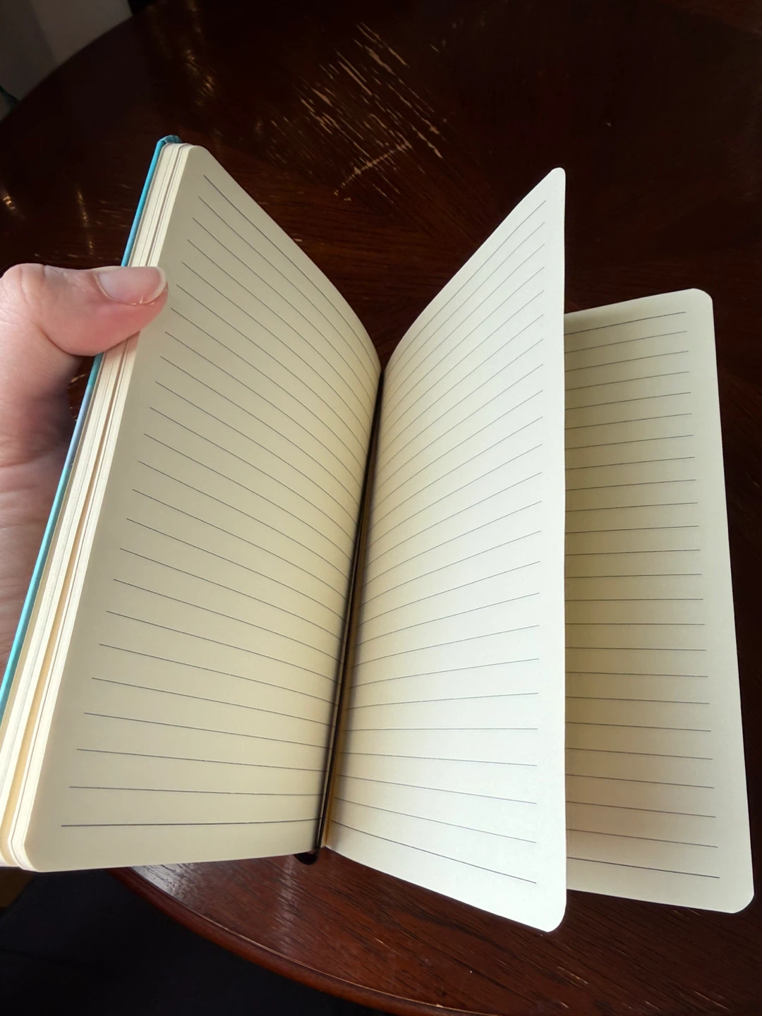 Indigenous Artist - Lined Notebook - photo 4