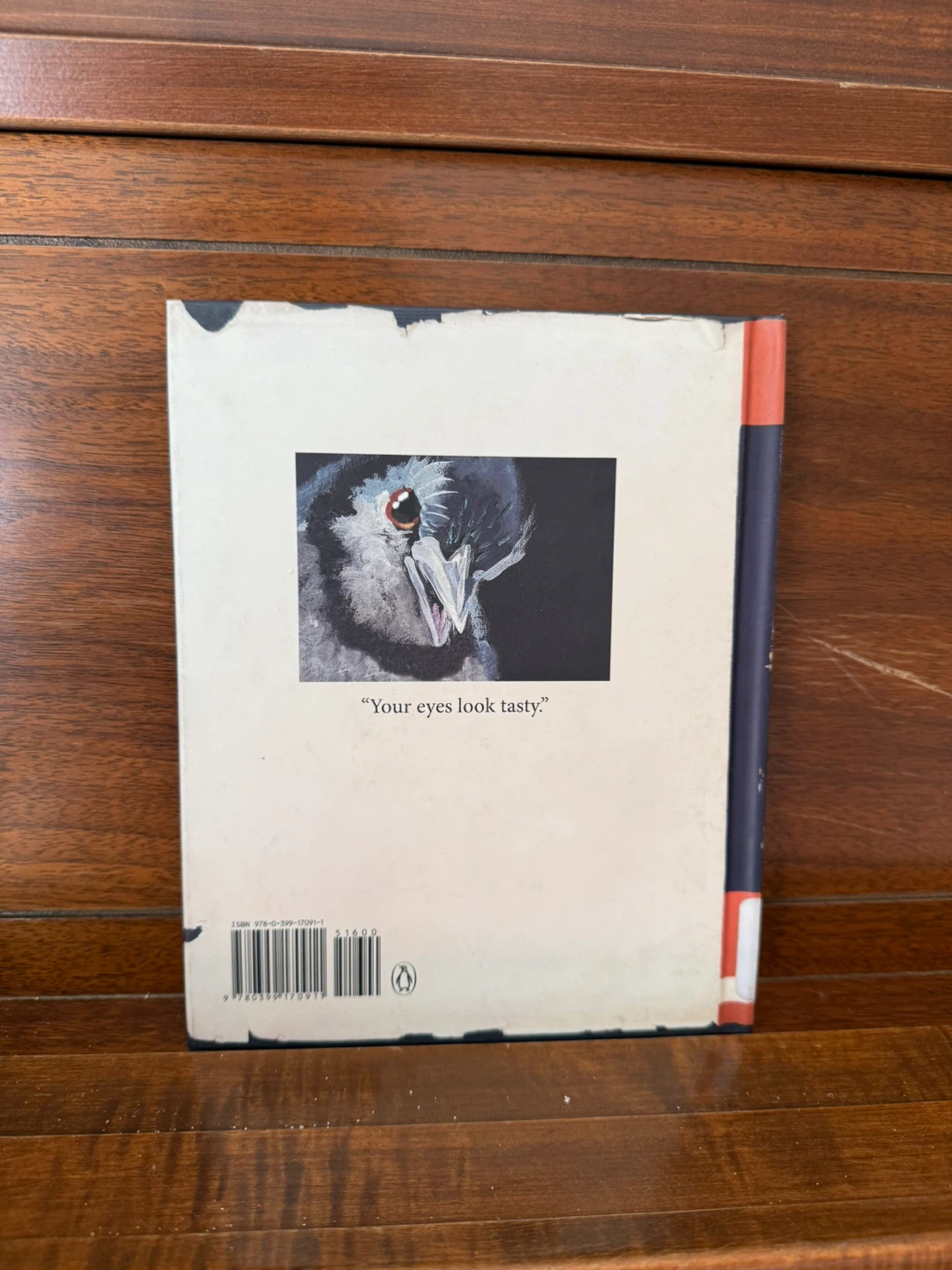 Guide to Troubled Birds - book 📖 - photo 2