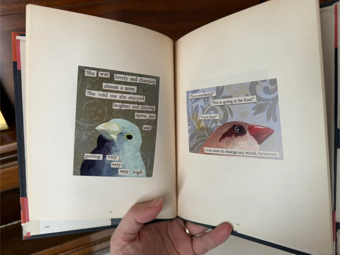 Guide to Troubled Birds - book 📖 - photo 4