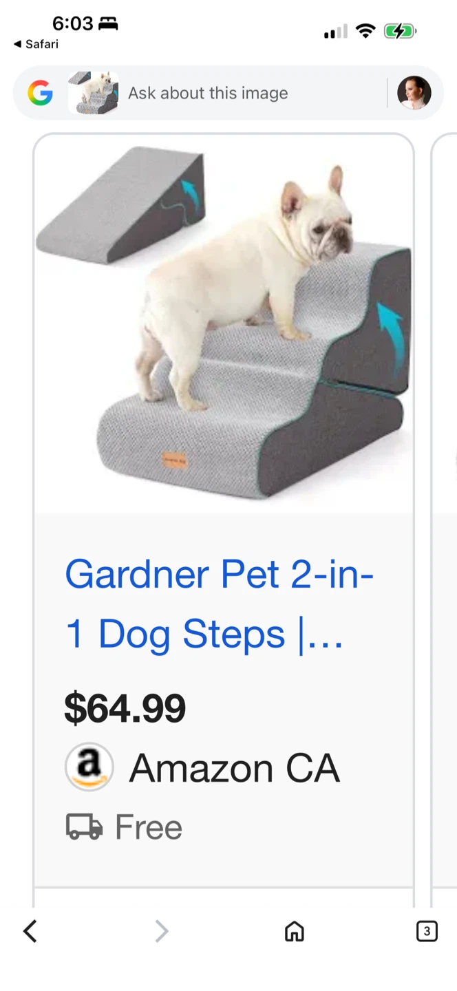 Brand New 2-in-1 Dog Stairs/ Pet Ramp Never Used Out of Box - photo 3