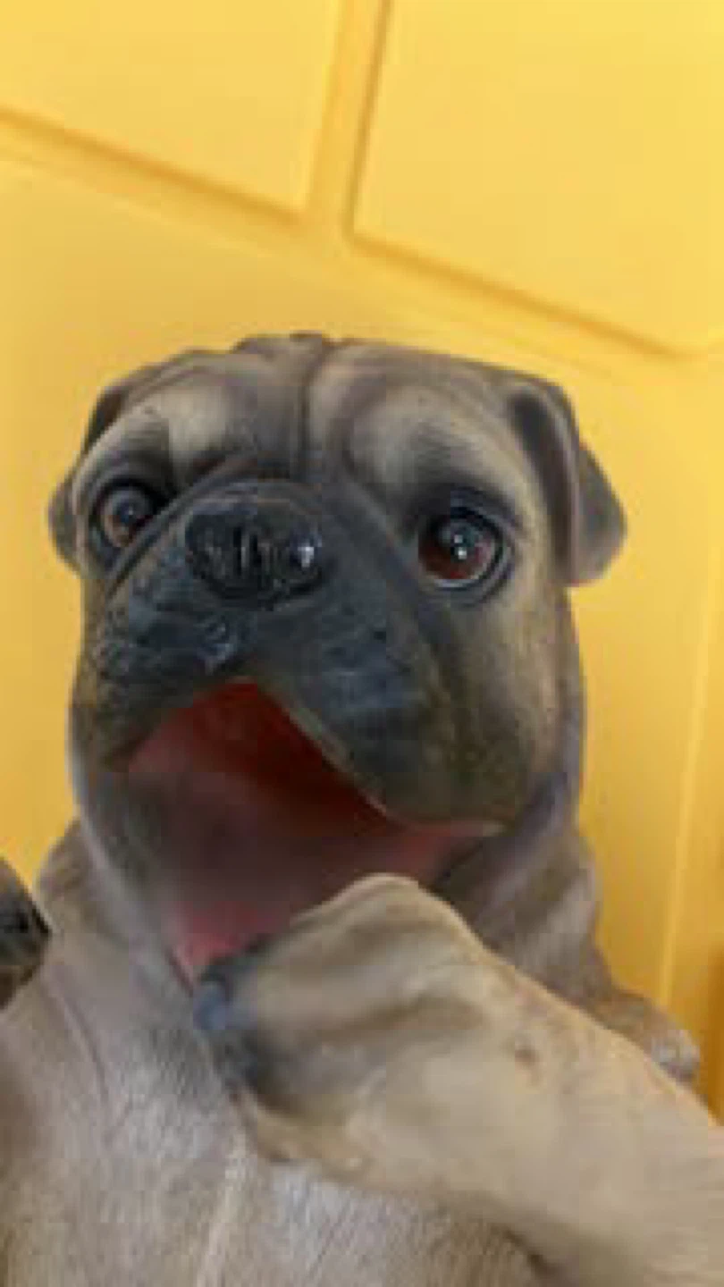 World of Wonders Pug Chug-A-Lug Wine Bottle Holder - photo 3