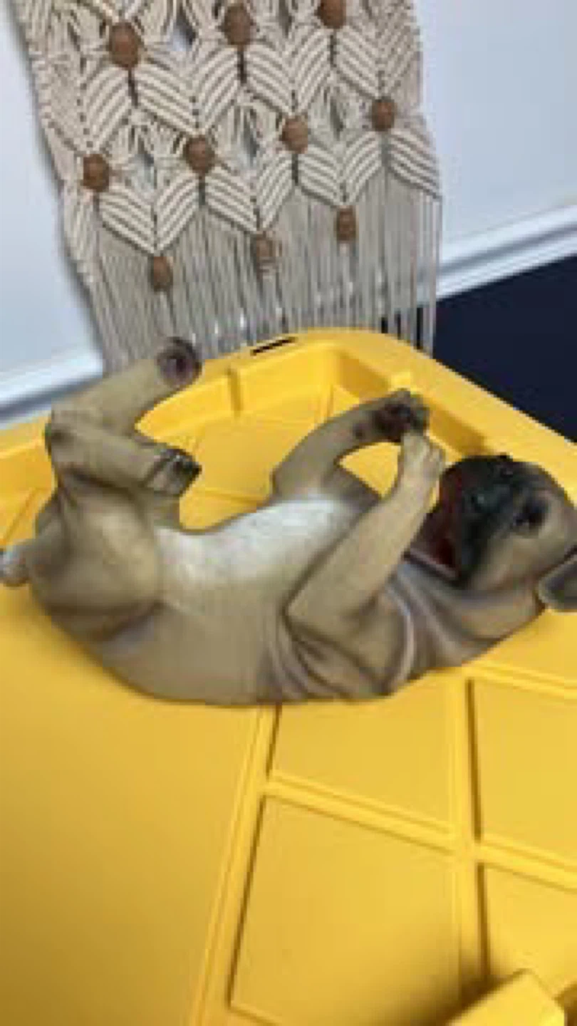 World of Wonders Pug Chug-A-Lug Wine Bottle Holder - photo 5