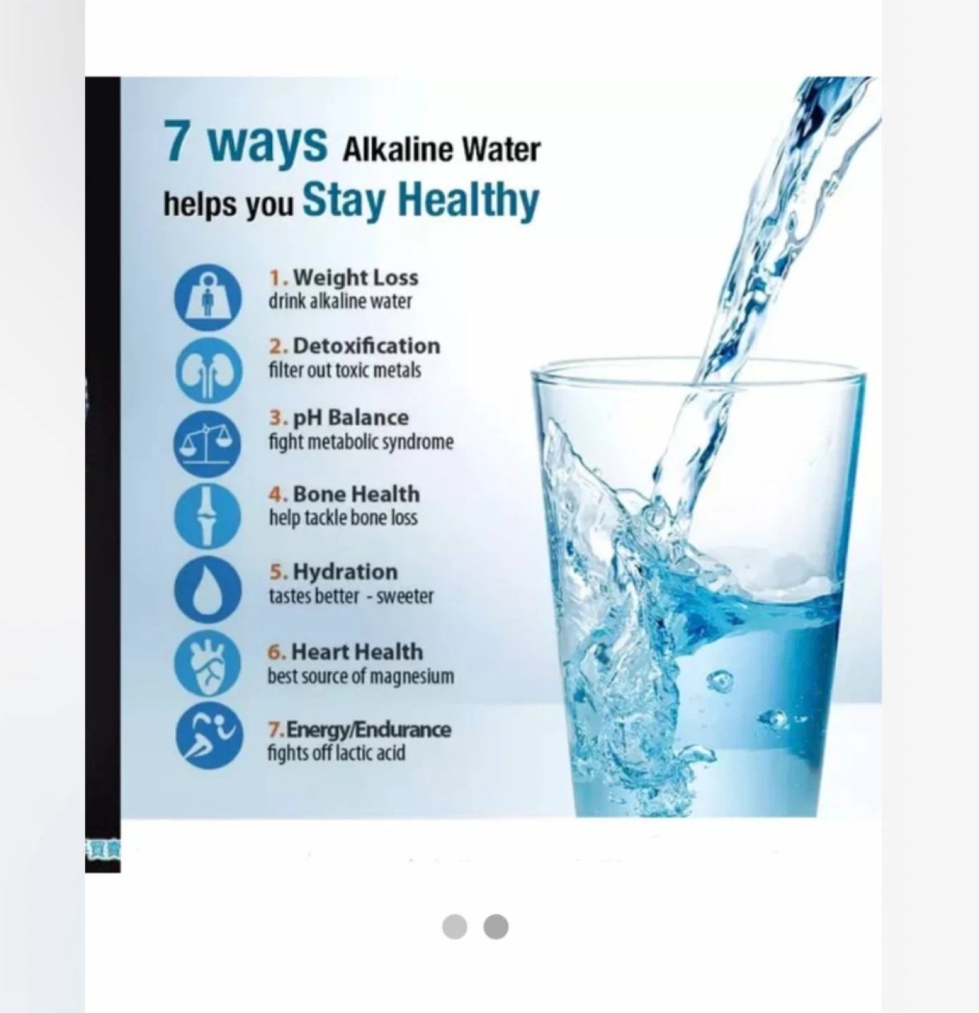 Rainlife Alkaline Water Ionizer - photo 2