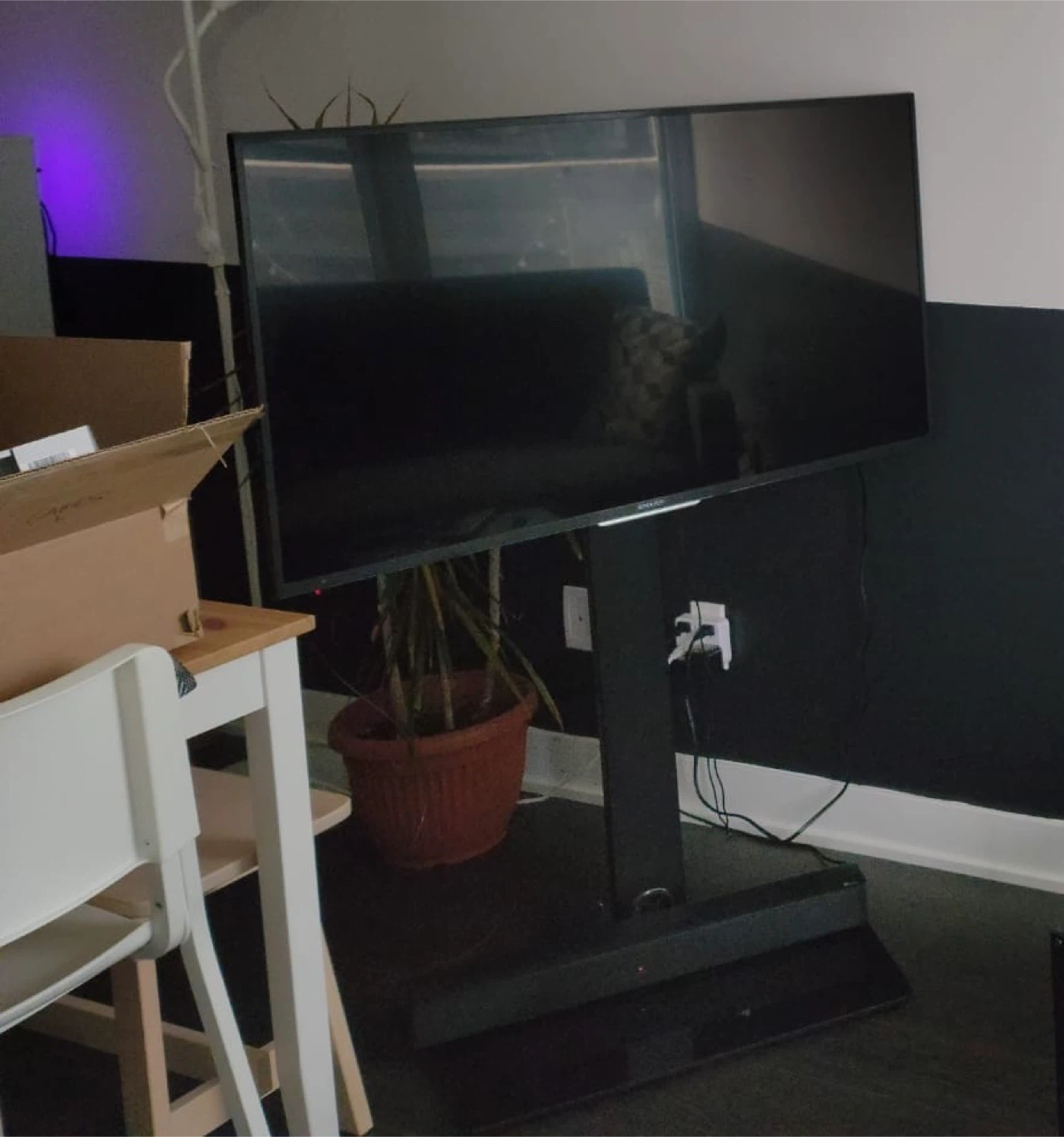TV