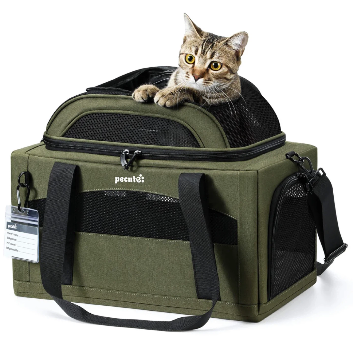 Pecute Airline Approved Expandable Pet Carrier BN