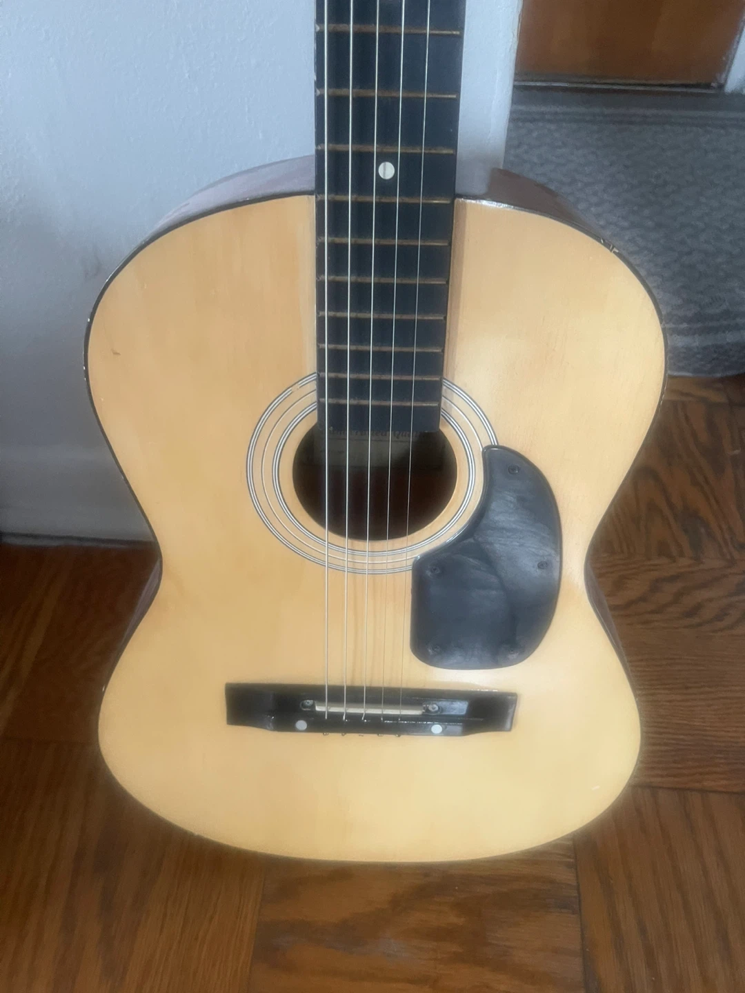 Sovereign Acoustic Guitar