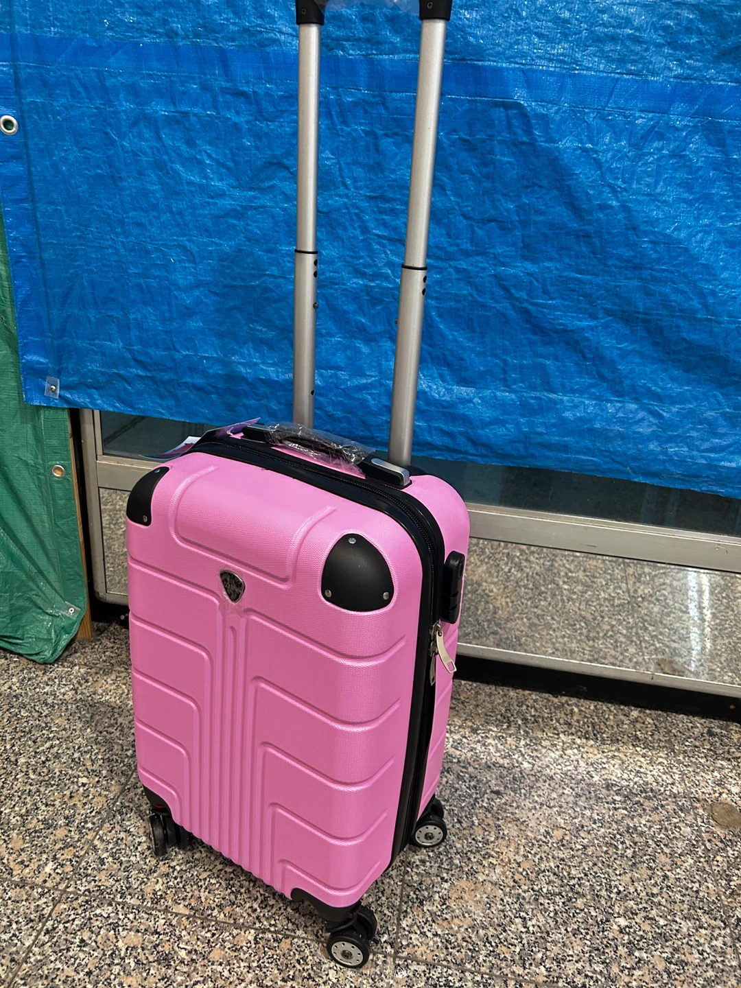 Pink Hardside Spinner Carry-On Luggage