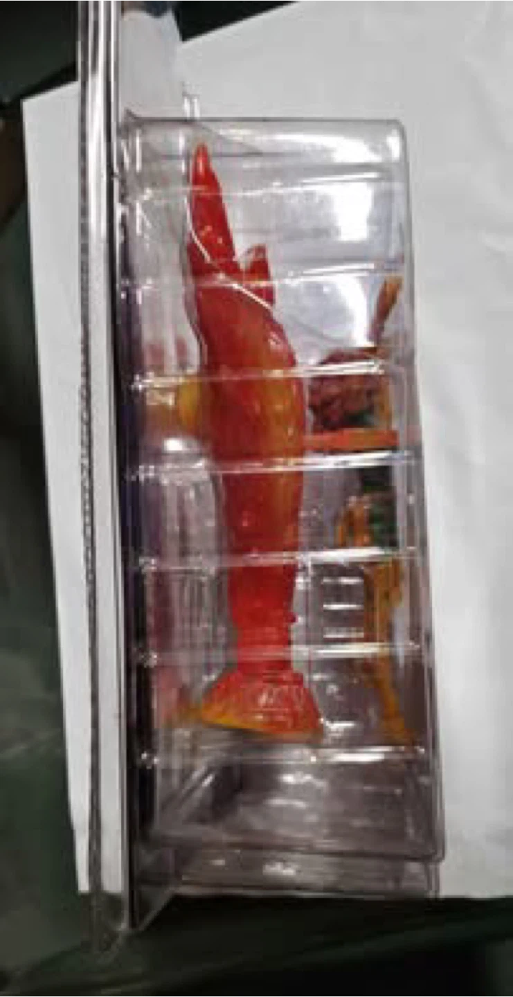 Marvel legends Phoenix Series VI Comic Book & 6" Figure - photo 5