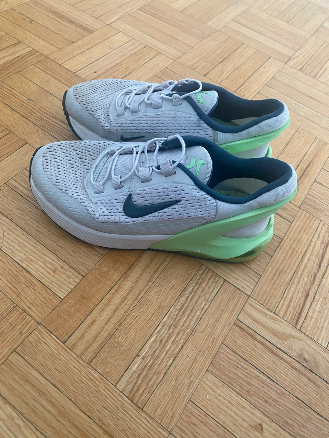 Nike Air Max Running Shoes