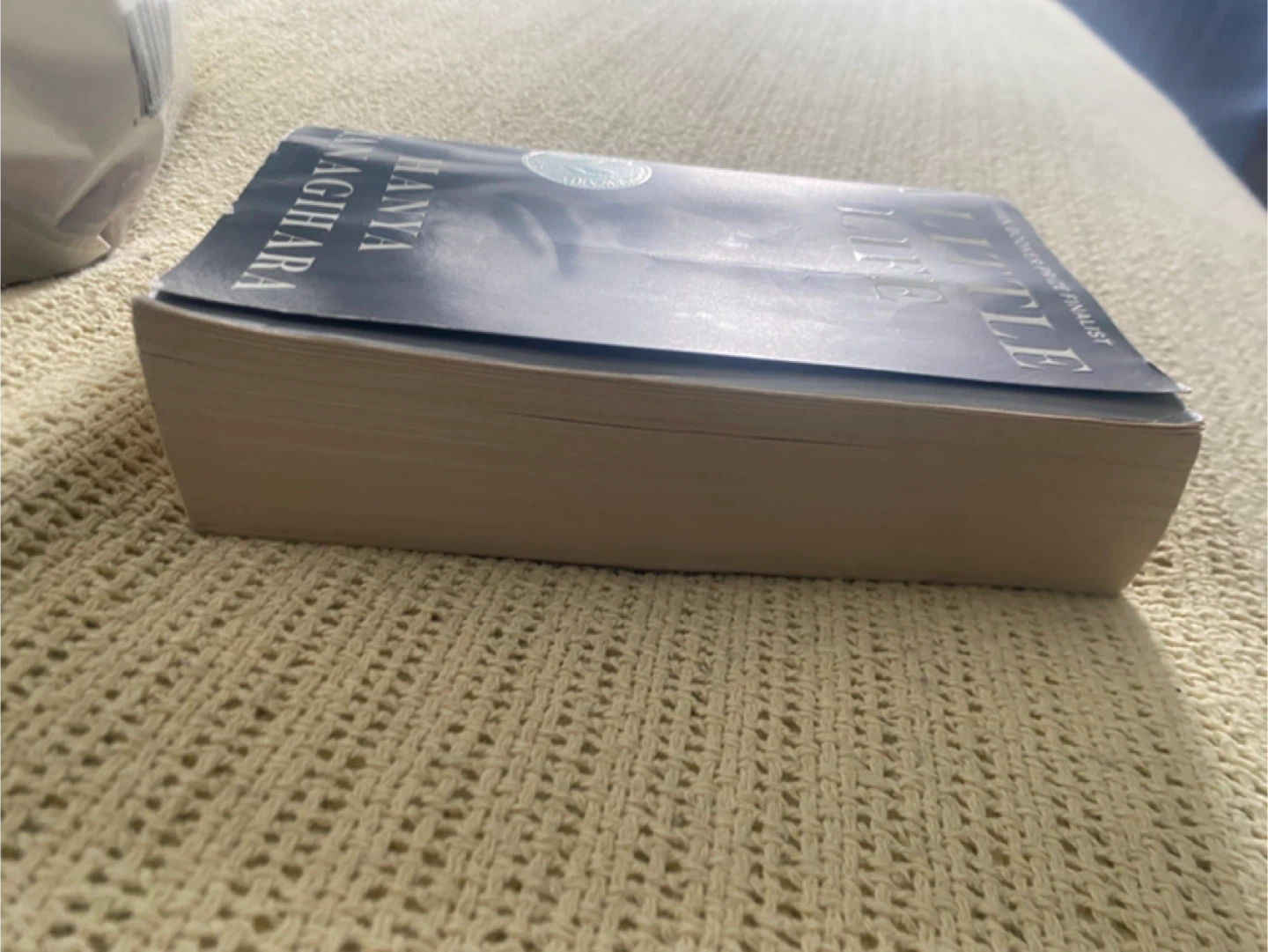 A Little Life Novel by Hanya Yanagihara - photo 3