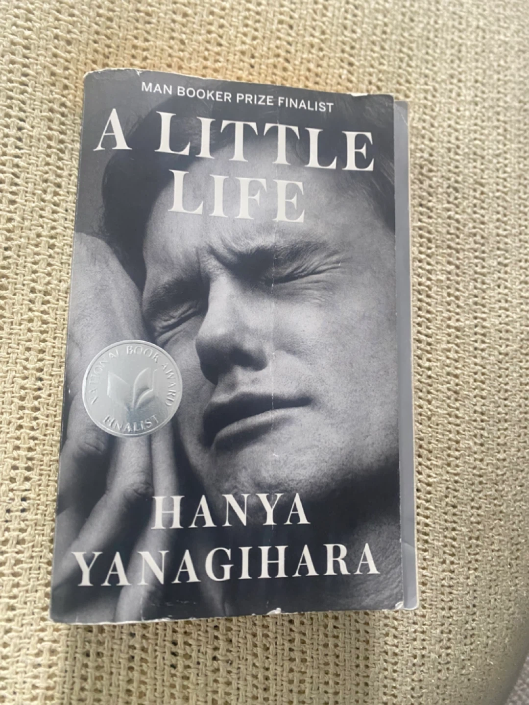 A Little Life Novel by Hanya Yanagihara