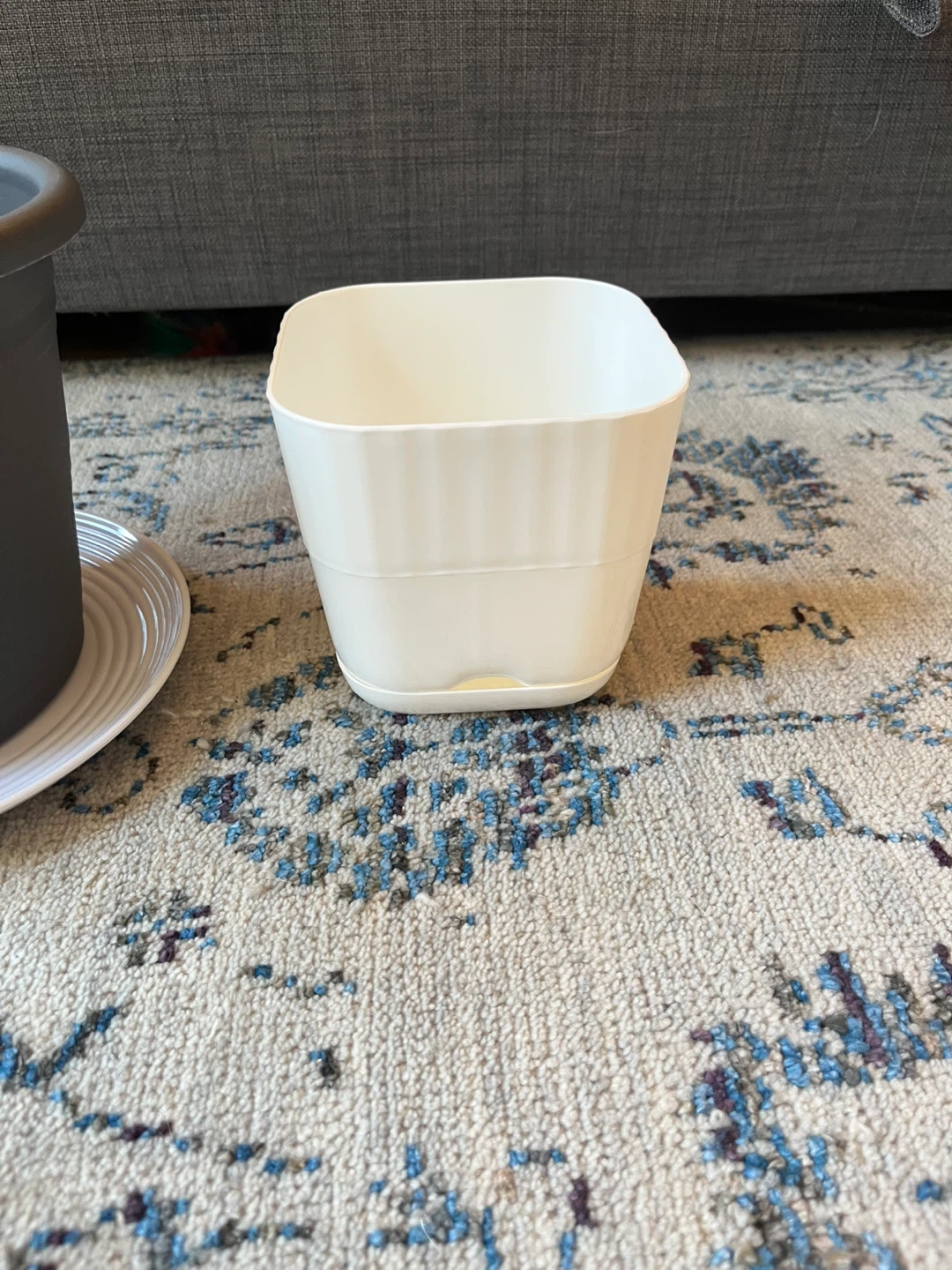 IKEA BUSKAPRIFOL and Dollarama pots - photo 4