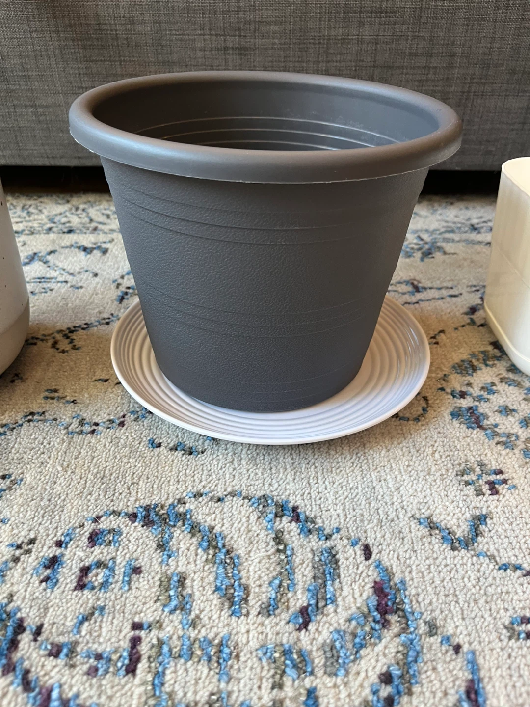 IKEA BUSKAPRIFOL and Dollarama pots - photo 5
