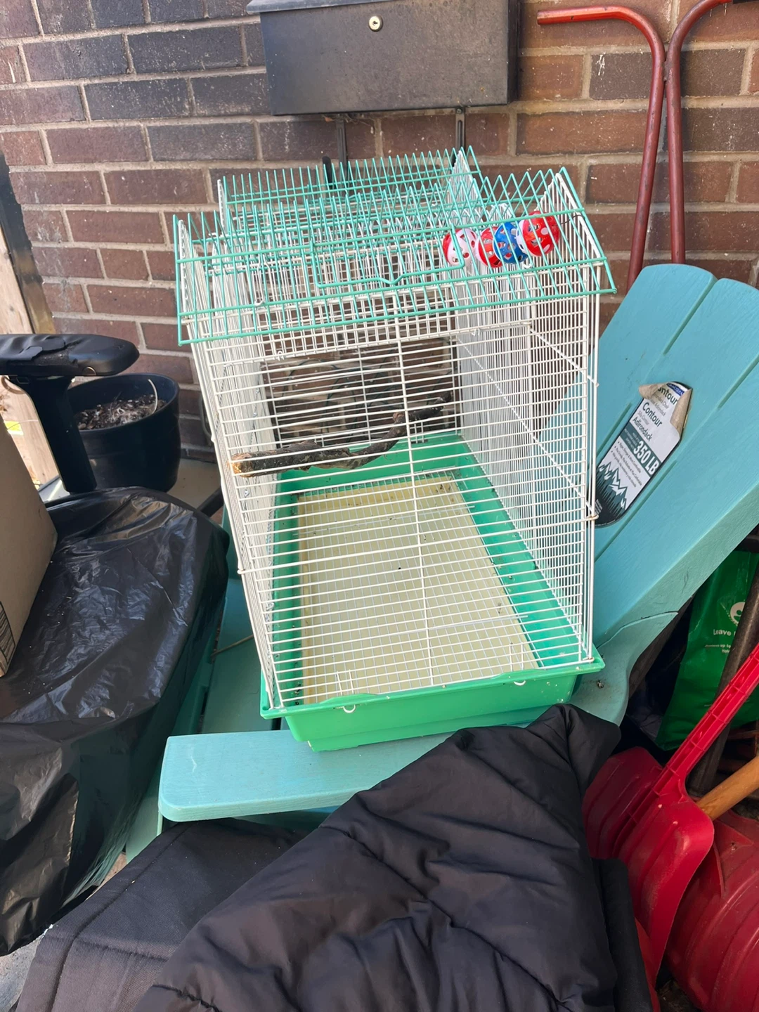 Bird cage (small birds)