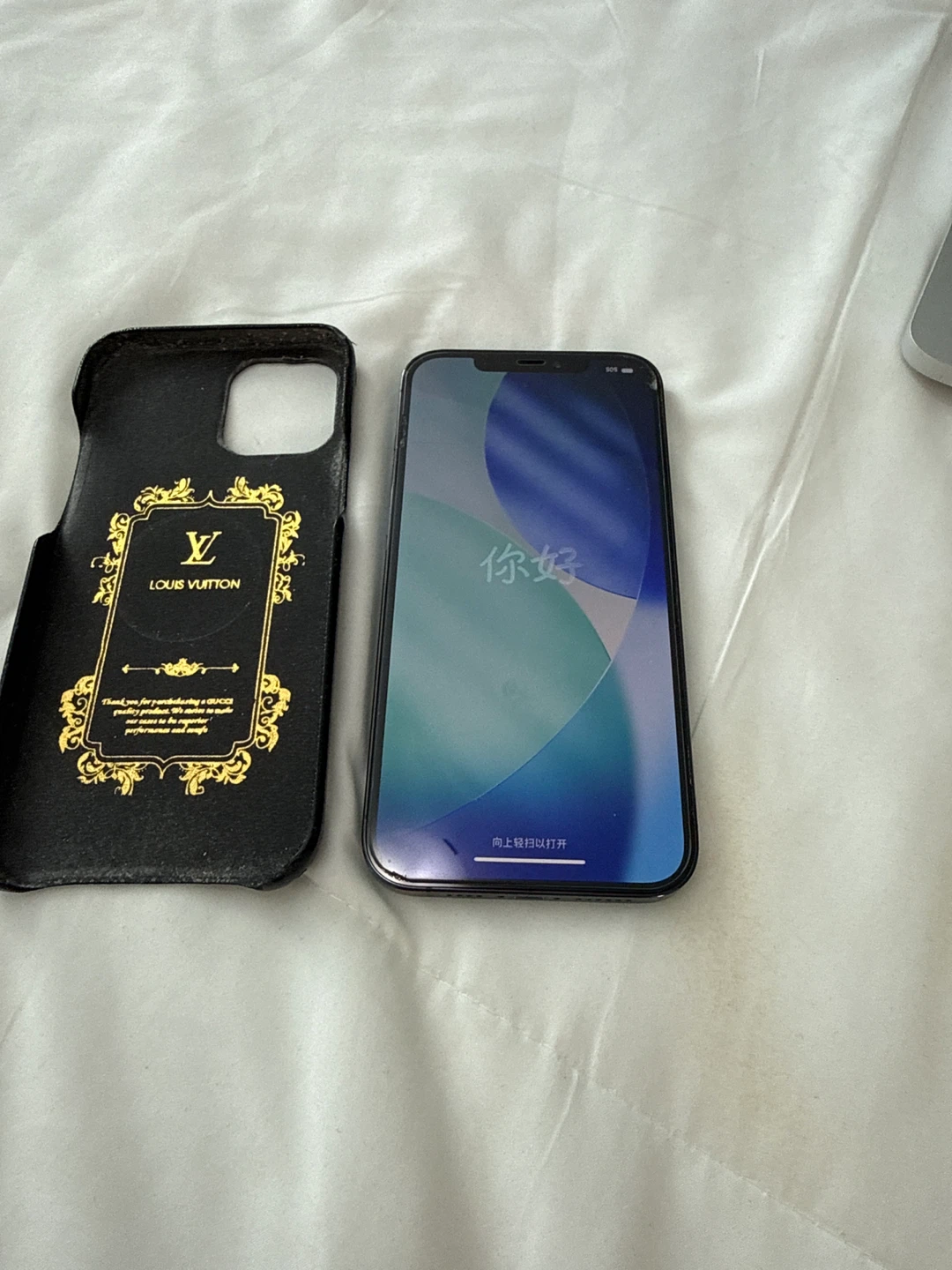 iPhone 12 Pro Max with Louis Vuitton Case