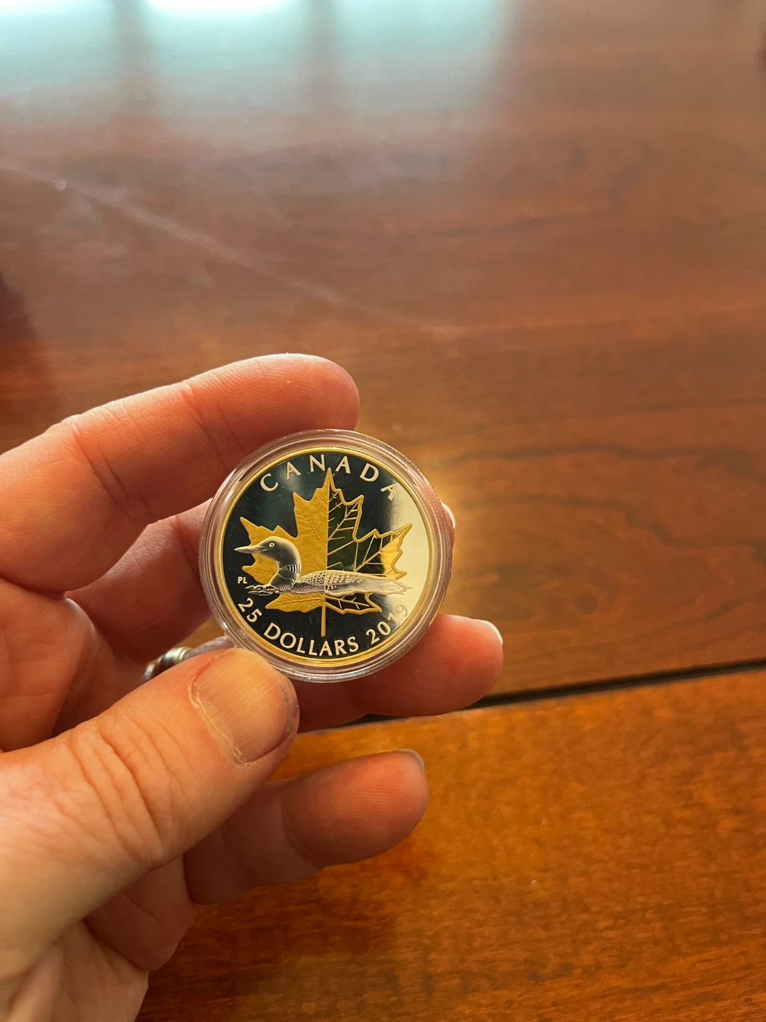 1 oz. Pure Silver Gold Plated Piedfort Loon Coin - photo 2