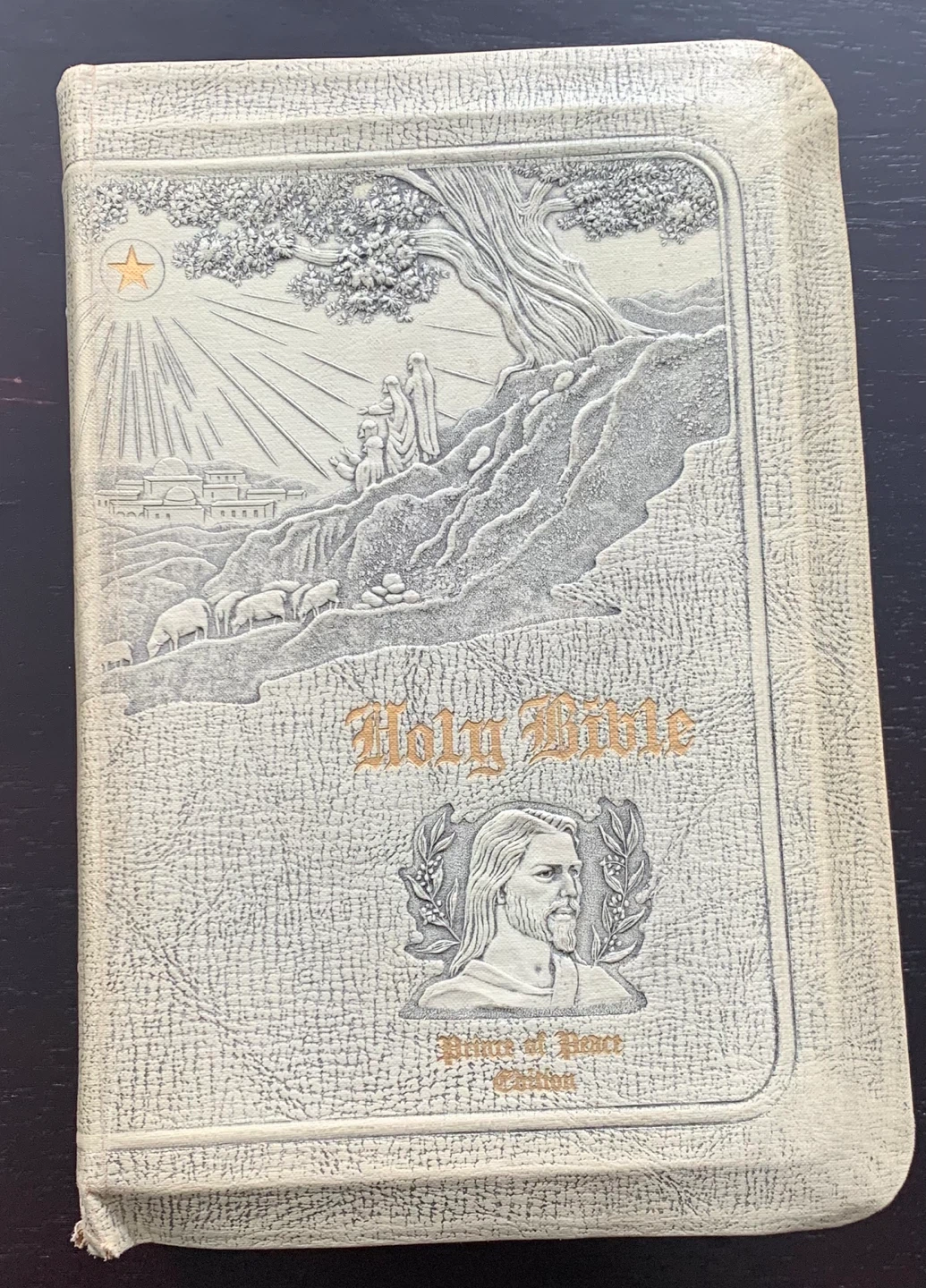 Holy Bible - Authorized or King James Version