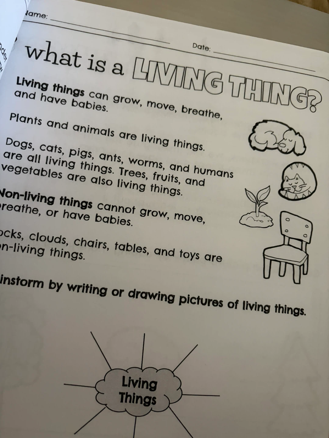 GR. 1: LIVING THINGS, ANIMALS & ME or GR. 2: TRADITIONS - photo 2