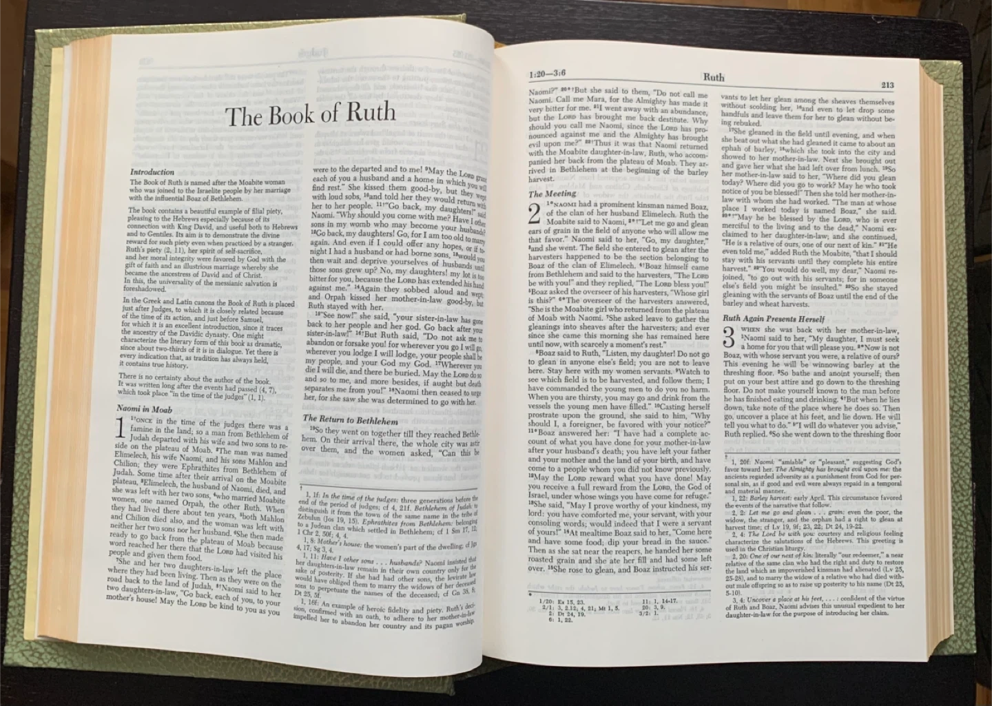 The New American Bible Holy Bible - photo 3