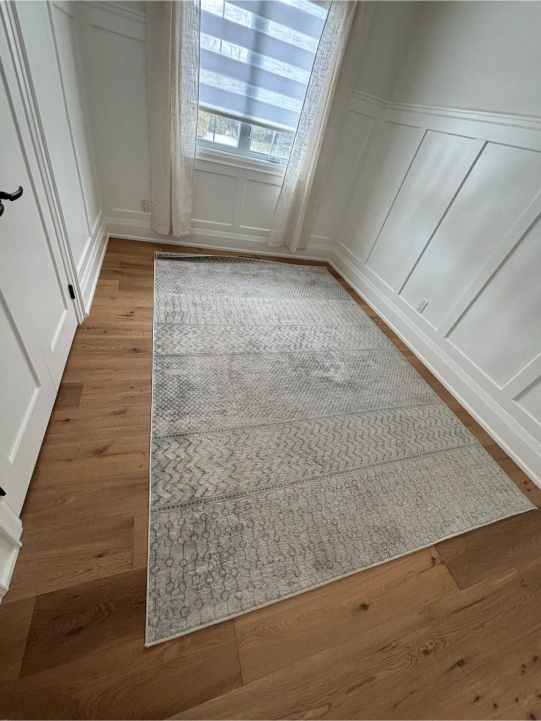 Area Rug - no pet house hold