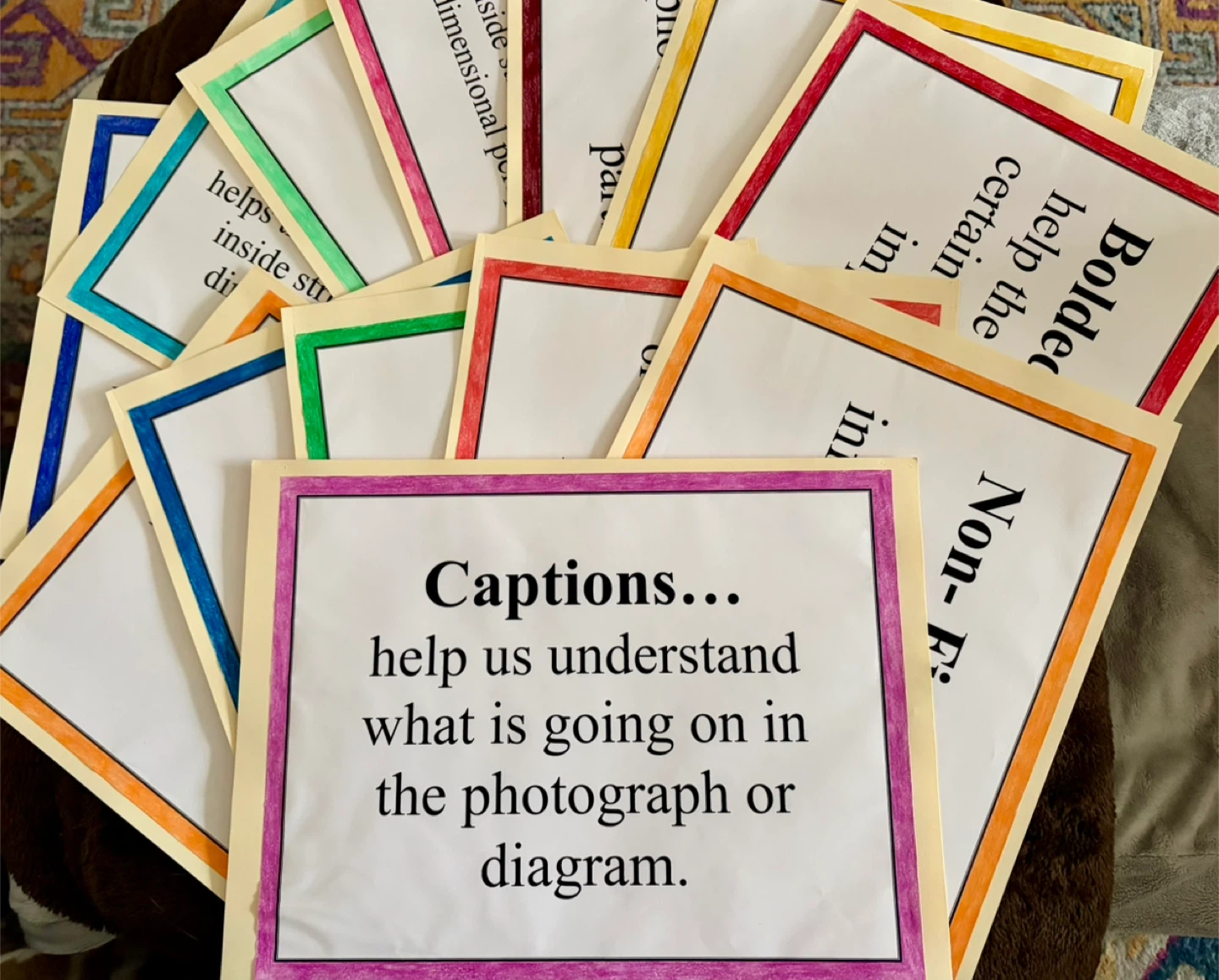 13 TEXT FEATURE ANCHOR CARDS FOR EQAO &  LITERACY