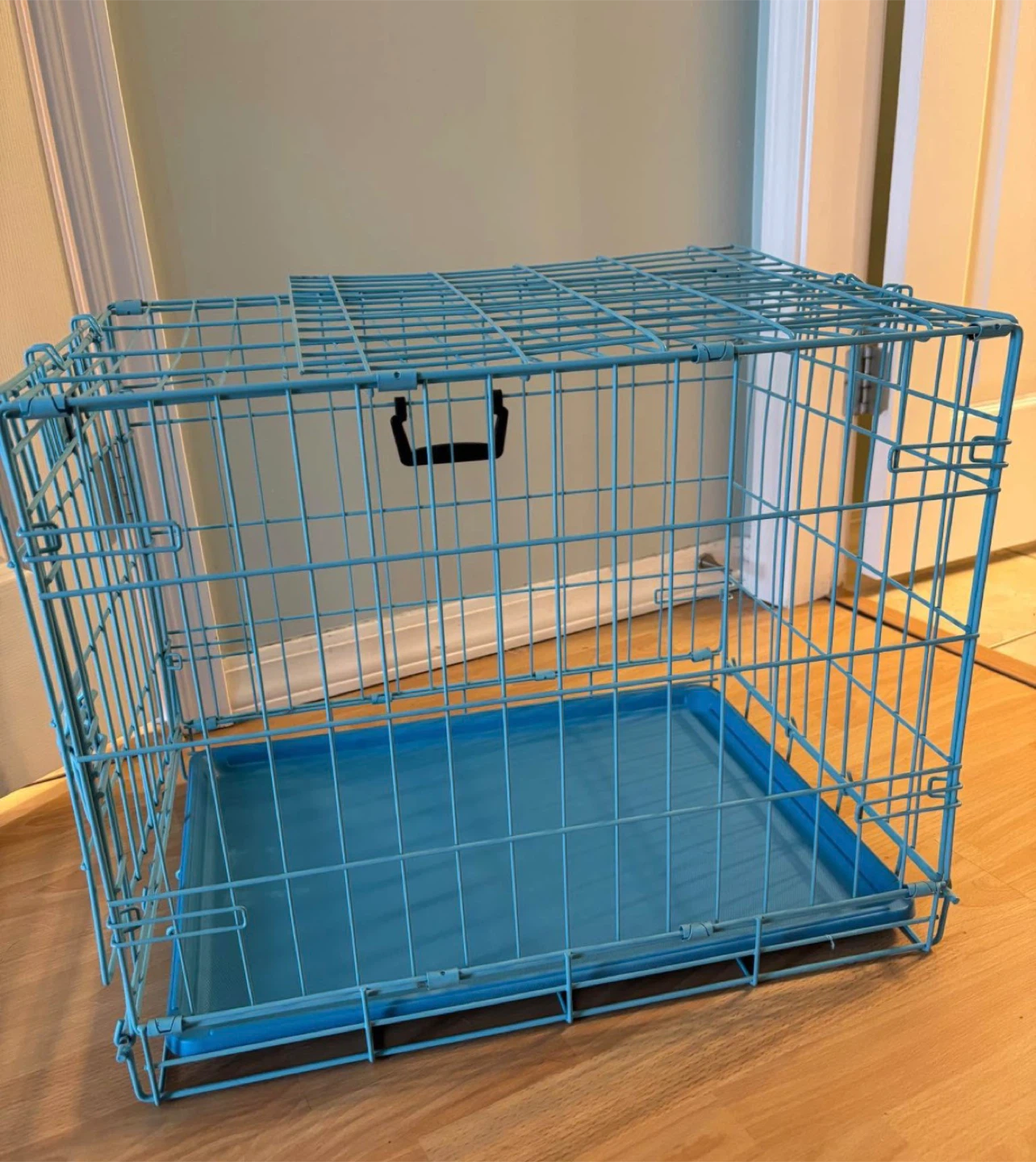 iCrate "Hey Baby Blue" Fashion Edition Pet Crate - photo 2