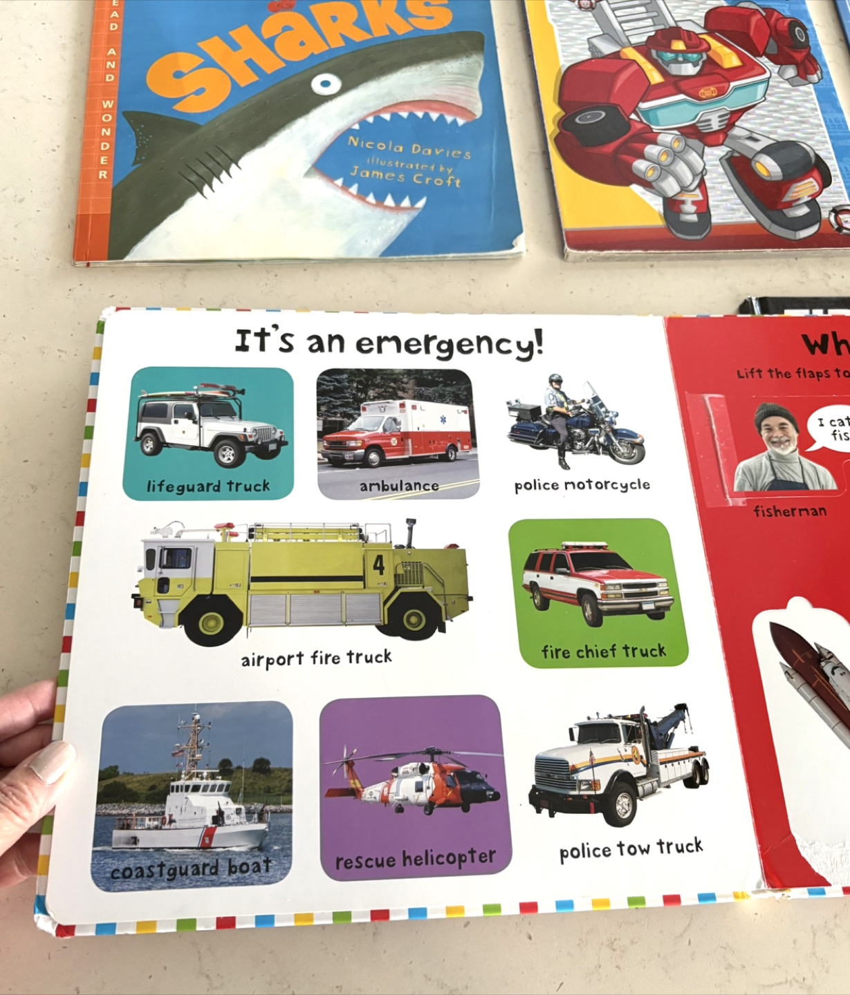 Collection of 5 Children's Board Books - photo 5
