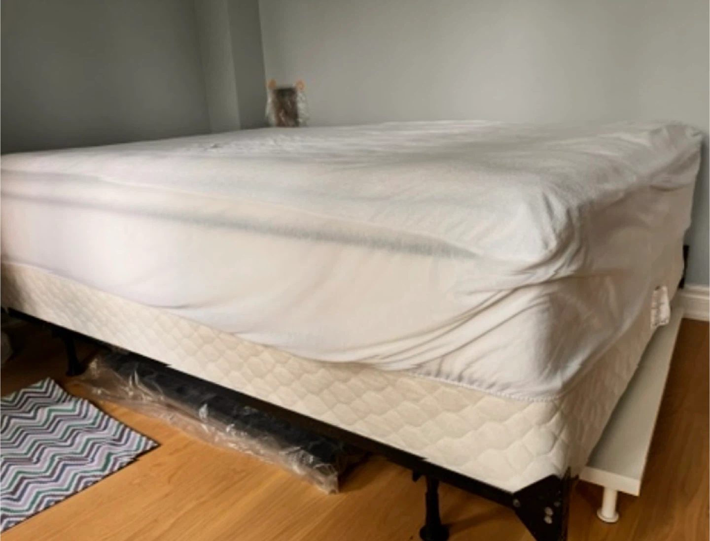 Queen Bed Mattress with Box Spring - photo 3