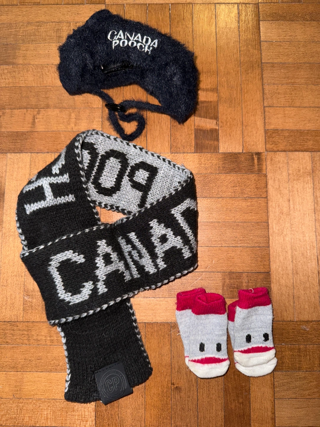 Canada pooch + Socks (SMALL)