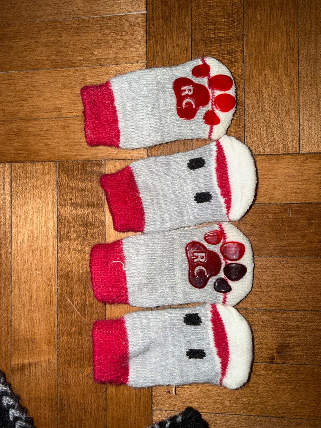 Canada pooch + Socks (SMALL) - photo 2