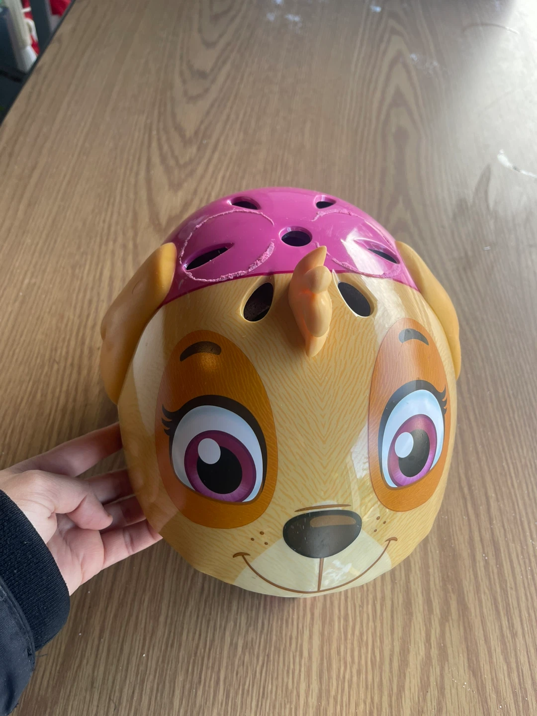Paw Patrol Skye Kids Helmet
