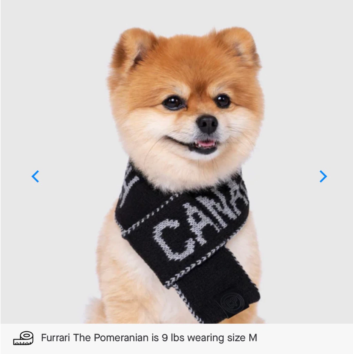 Canada pooch + Socks (SMALL) - photo 4