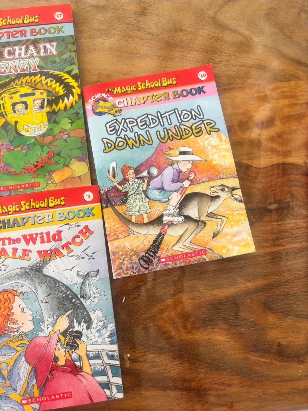The Magic School Bus Chapter Books - photo 5