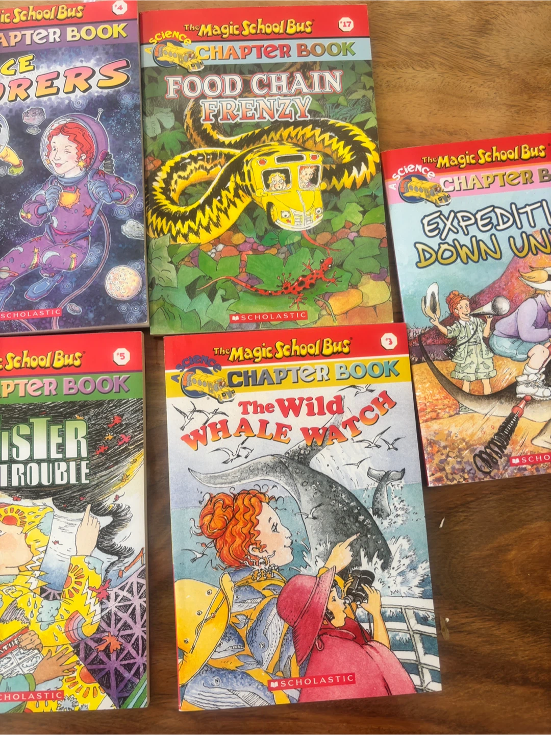 The Magic School Bus Chapter Books - photo 4