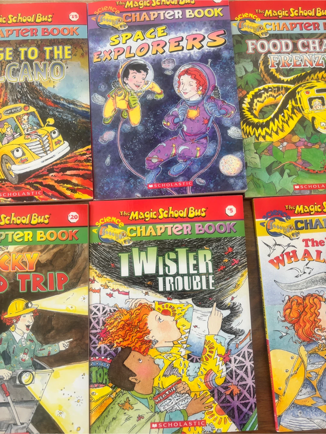 The Magic School Bus Chapter Books - photo 3