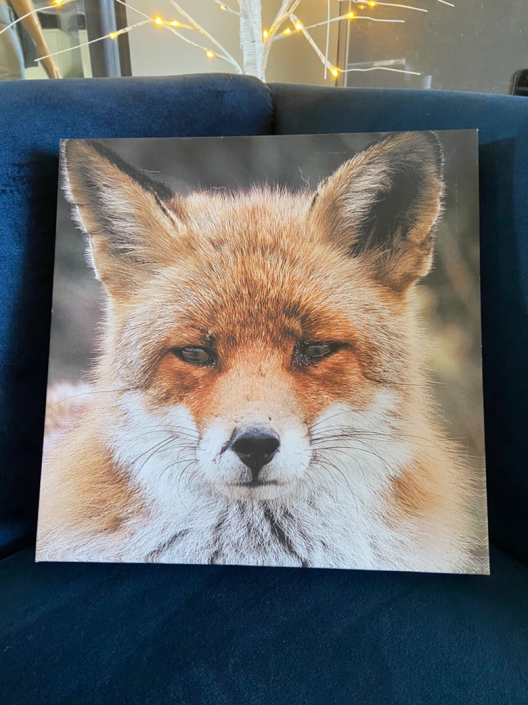 EUC: BouClair Art Canvas Print of Fox 12 x 12 x 1.5”